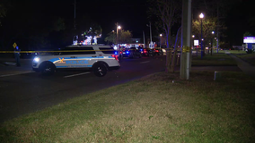 Man shot, killed near market in St. Pete: SPPD