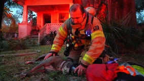 Several pets rescued from Seminole Heights home fire: Crews