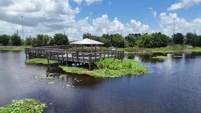 Sarasota’s Celery Fields redevelopment sparks debate among community