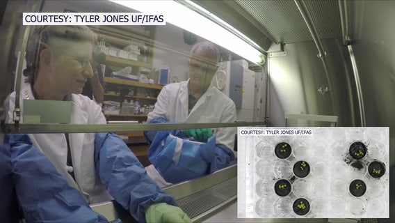 UF researchers study how to grow food on the moon