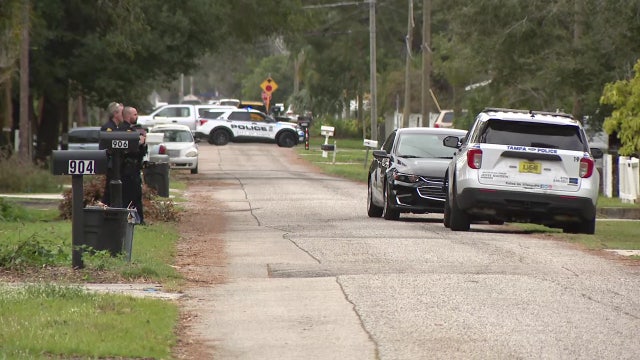 Suspect seen with gun near ZooTampa taken into custody following standoff