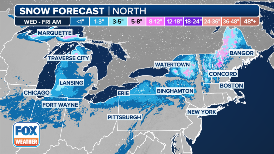 This graphic shows the forecast snow totals in the Northeast. (FOX Weather)