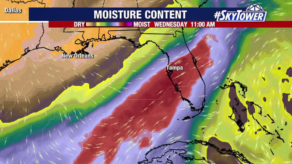 Tropical moisture should bring rain to Florida by the middle of next week, forecasters say.