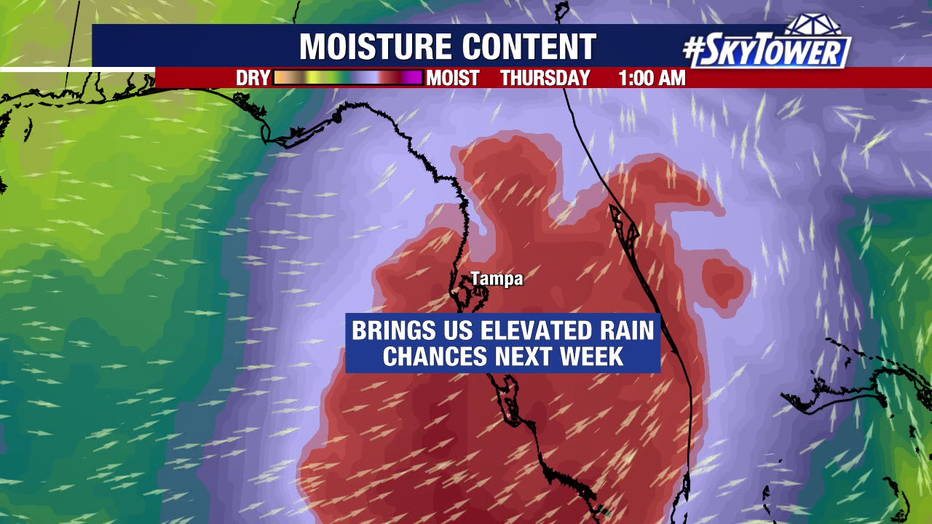 The system will bring higher rain chances to Florida next week.