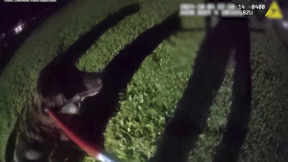 Police say the dog's grateful owner eagerly greeted the animal after the rescue. Image is courtesy of the Clearwater Police Department.