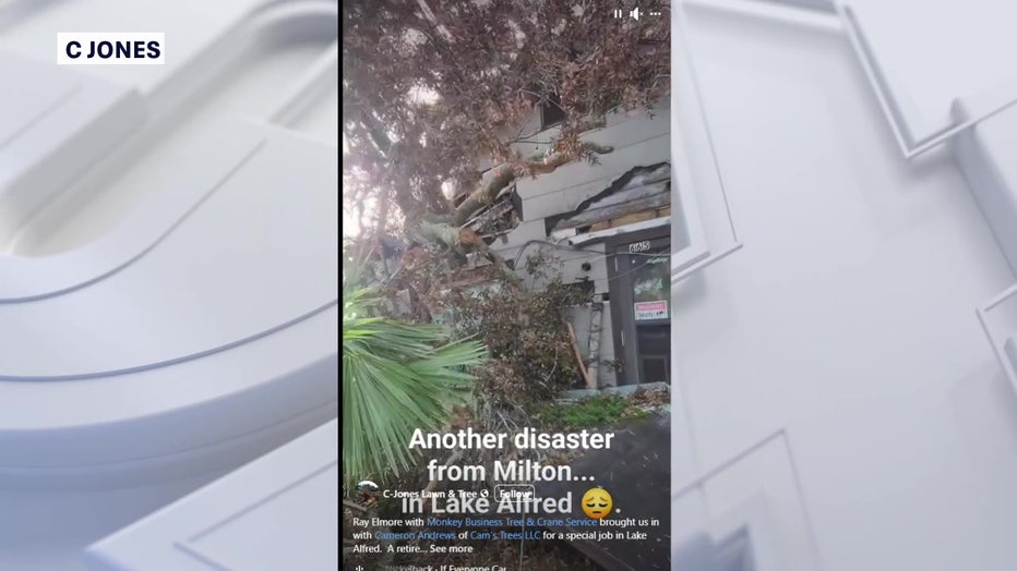 A tree fell on Gary Taylor's home during Hurricane Milton but he couldn't afford to have it removed.