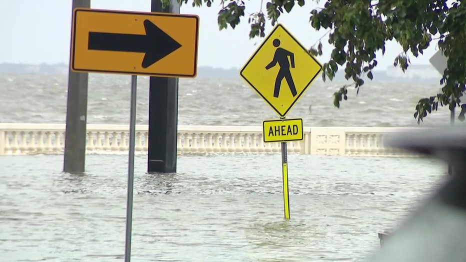 View of hurricane damage along Tampa's Bayshore Blvd.