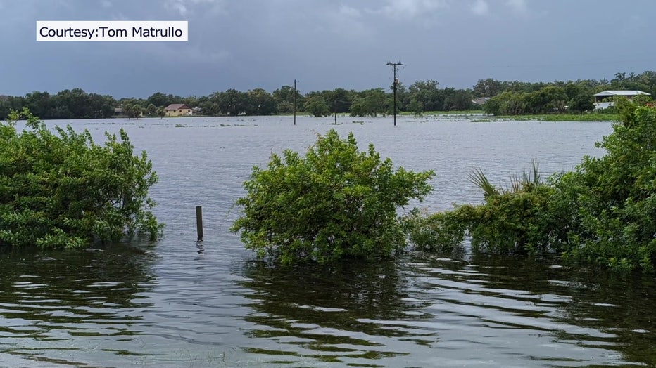 Celery Fields underwater after Hurricane Debby.