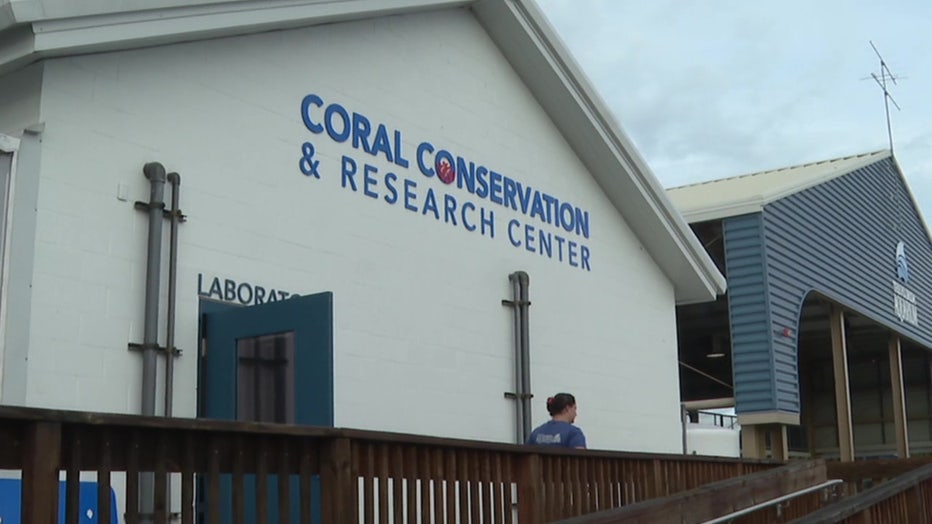 Coral Conservation and Research Center at the Florida Aquarium.