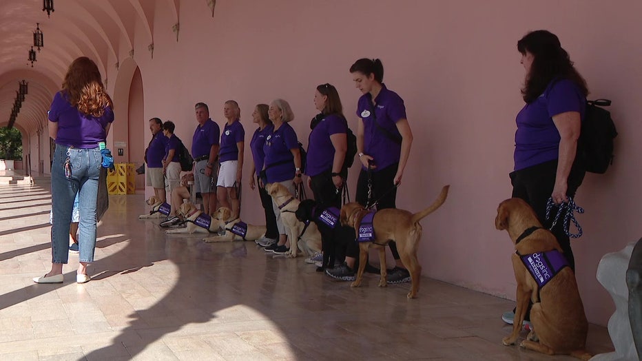 Dogs Inc. training the next generation of service dogs