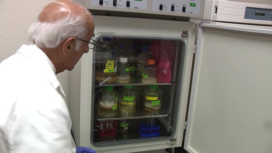 Dr. Cameron Tebbi showing materials used in testing potential vaccines for pediatric leukemia vaccines.