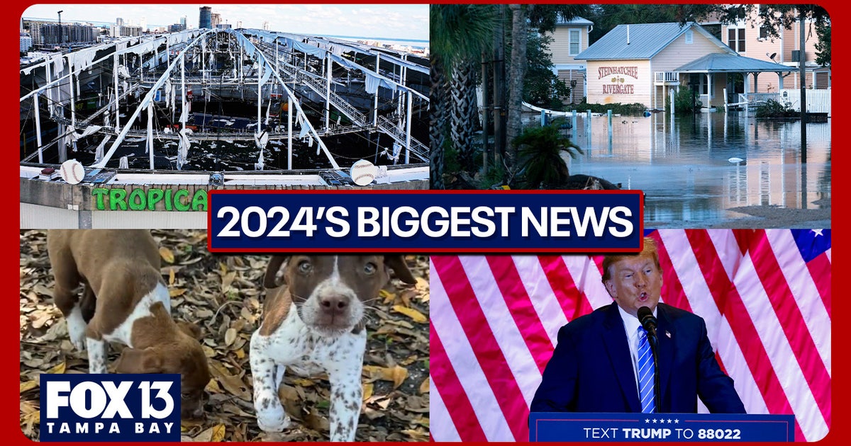 What was the most clicked on news of 2024? A month-by-month breakdown ...