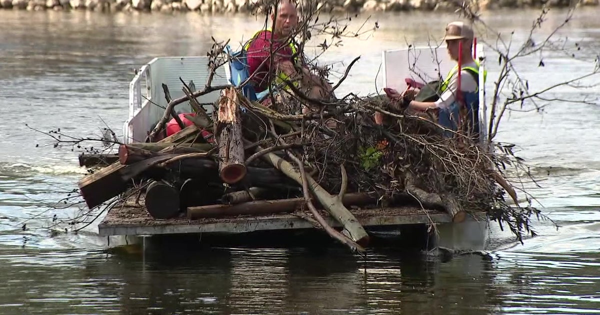 Hillsborough waterways still need clearing after storms | FOX 13 Tampa Bay