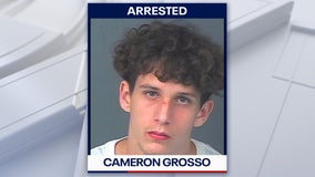 Spring Hill teen arrested after fleeing hit-and-run scene: FHP