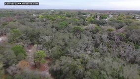 Pinellas agrees to buy acres of land at West Klosterman's Preserve