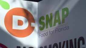 D-SNAP application site opens at Tropicana Field for Pinellas County hurricane victims