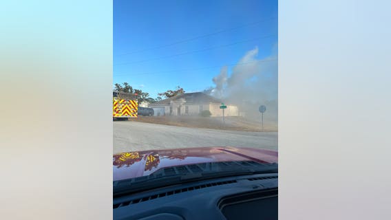 Dog, 2 birds rescued from house fire in Spring Hill, HCFR says