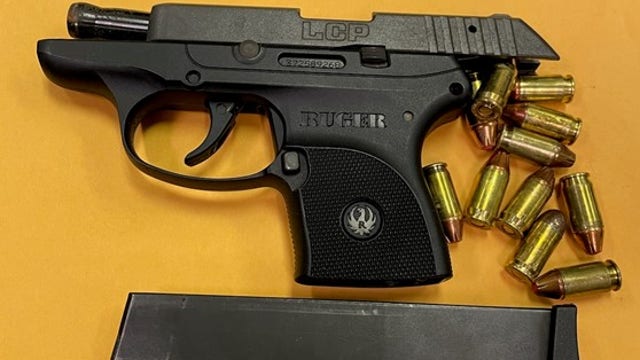 Multi-agency operation leads to slew of arrests, including 19-year-old felon: HCSO