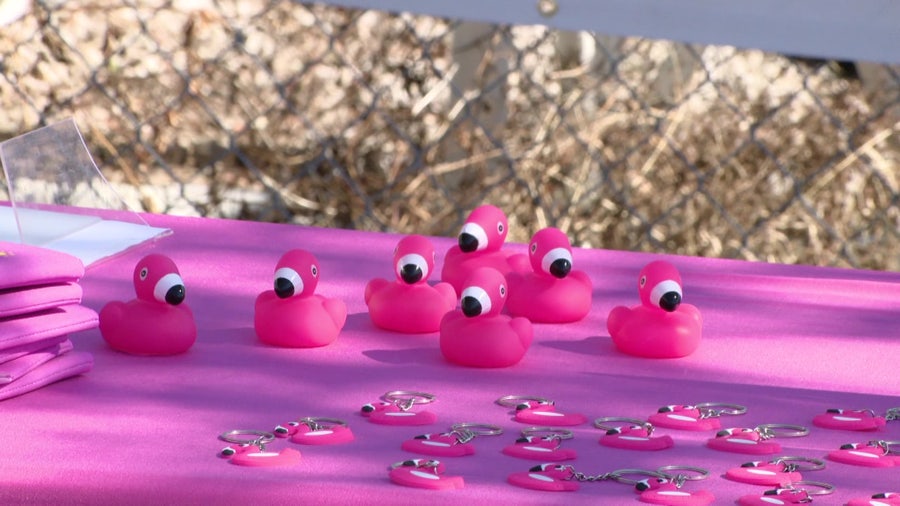 40,000 rubber flamingos to float down river to help raise money for sick children