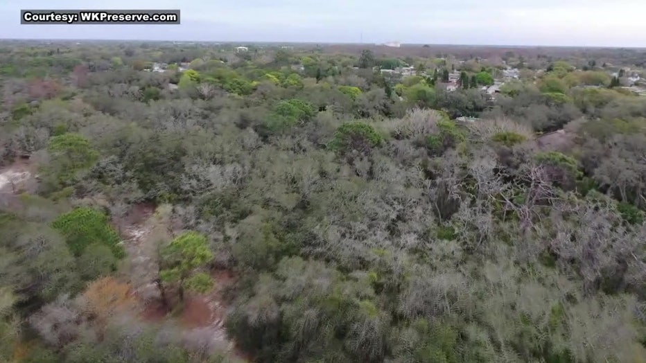 The West Klosterman Preserve in Tarpon Springs.