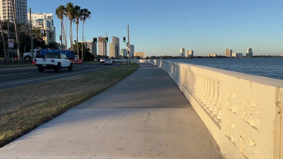 View of Bayshore Blvd.