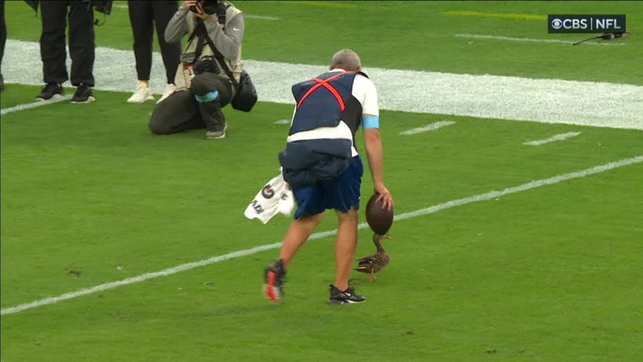 Brandt attempting to shoe the duck off the field.