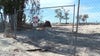 Repairs to hurricane damaged South Venice Jetty could be two years out