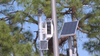 City of Sarasota school speed zone safety cameras roll out with warning period