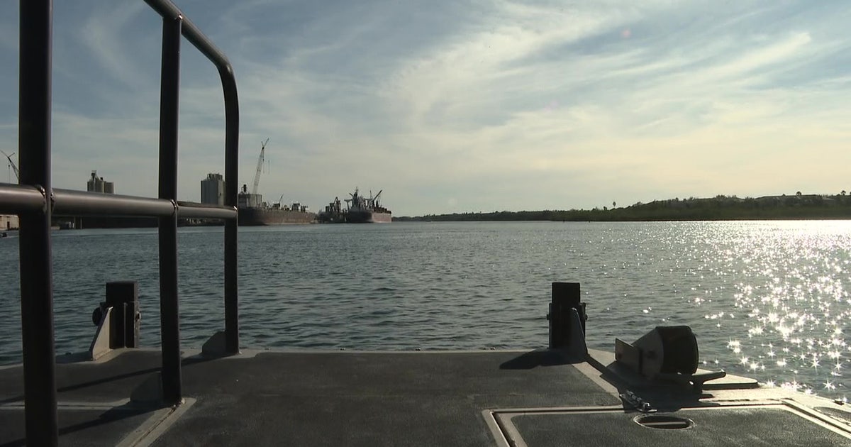 2 people, 1 dog rescued after boat capsizes in Tampa | FOX 13 Tampa Bay