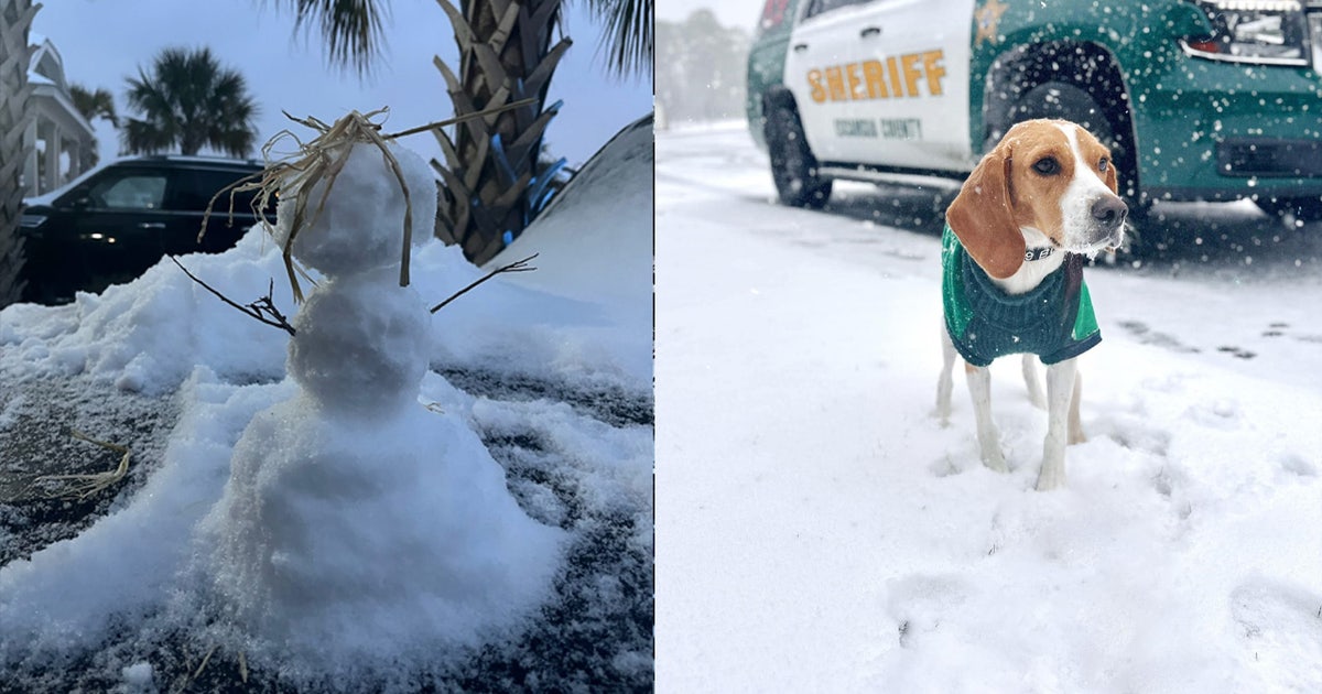 Snow in Florida: See photos from the winter storm | FOX 13 Tampa Bay