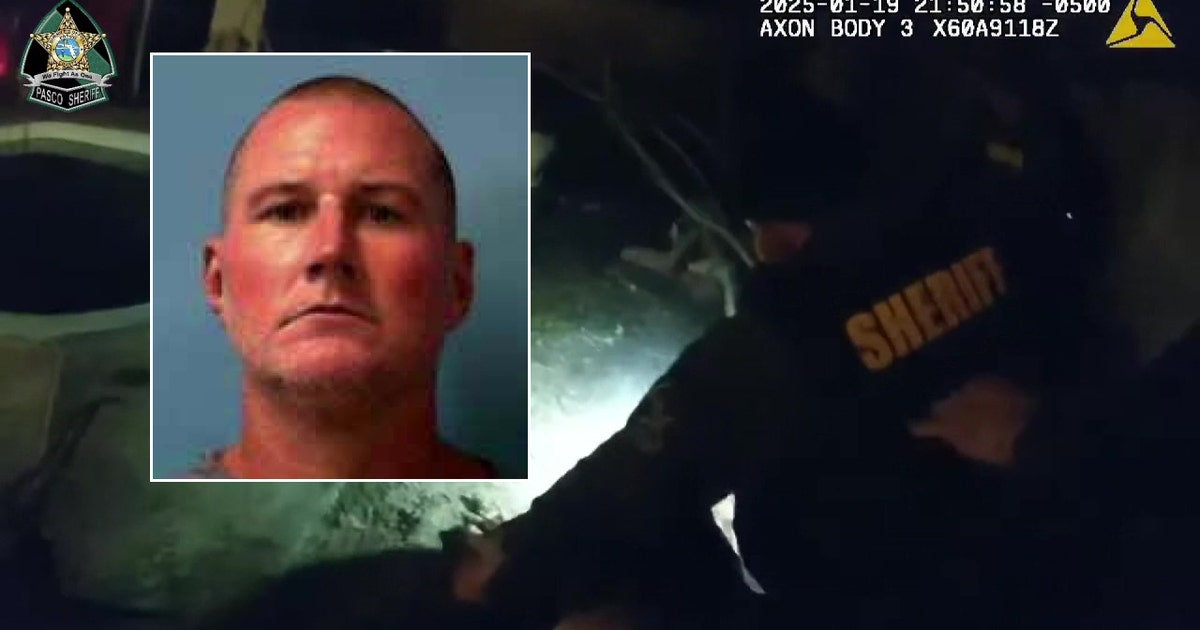 Armed suspect shot, killed by Pasco deputies: PCSO | FOX 13 Tampa Bay