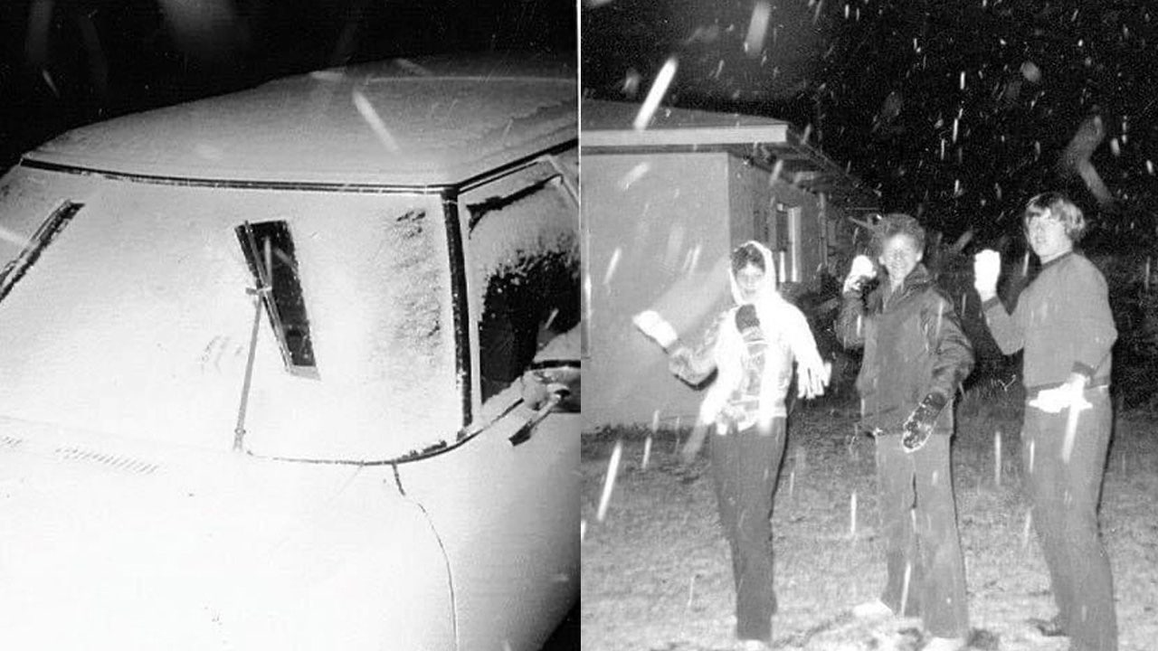 The Magical Day of Snow in Tampa Remembering January 19 1977