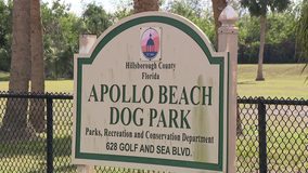 No arrests expected in deadly shooting at Apollo Dog Park