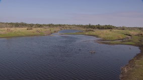 3 alligators found dead at Myakka River State Park