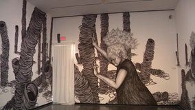 Local artist creates supersized art exhibit at Creative Pinellas