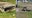 10-foot gator pulled from Florida storm drain