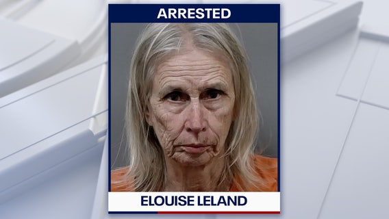 Hernando woman arrested, 90 dogs rescued from ‘deplorable’ home: CCSO