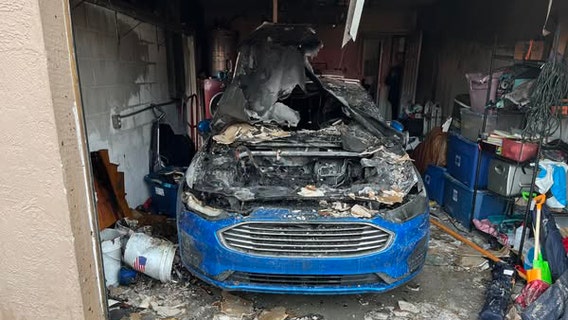 Cats rescued from fire at Hernando County home