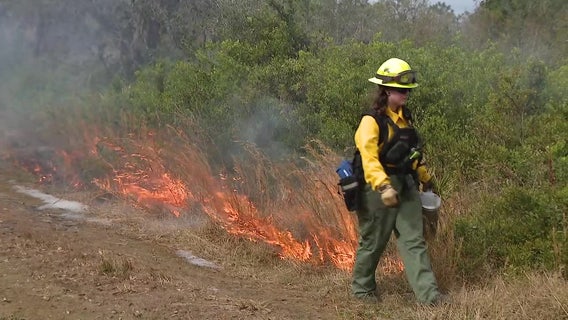 Hillsborough County holds prescribed burn as part of year-round wildfire prevention efforts