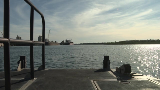 2 people, 1 dog rescued after boat capsizes in Tampa