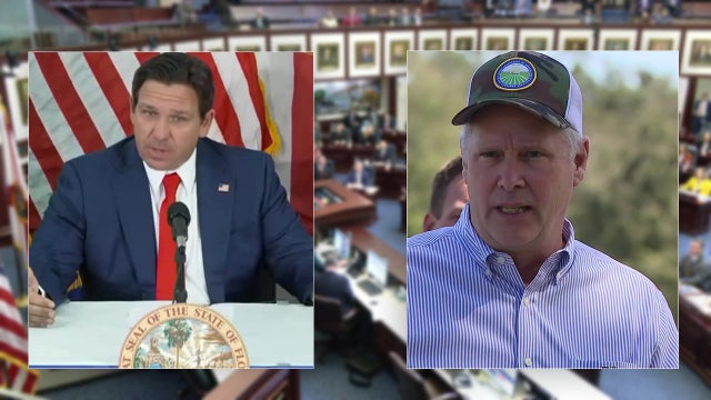 Undocumented immigration bill has Florida's governor, agriculture commissioner and legislation at odds