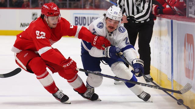 Talbot stops 28 shots as Red Wings beat Lightning 2-0