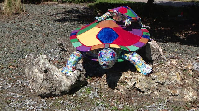 Artists use recycled cans to showcase Florida city's turtle mascot