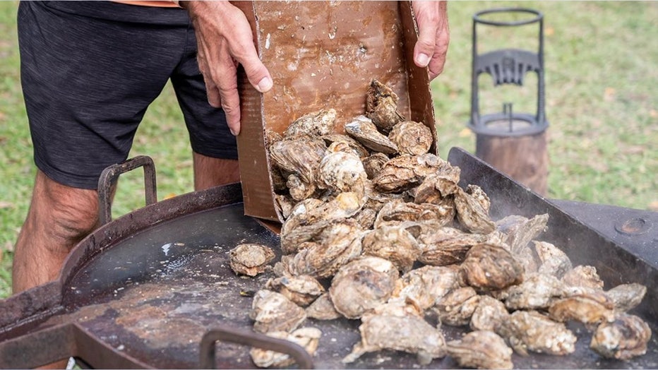 Image courtesy: Tampa Oyster Fest.