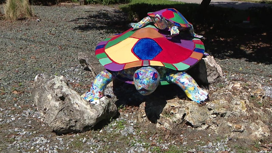 Nearly a dozen new aluminum turtle sculptures celebrate the mascot for the City of Inverness, the cooter turtle.