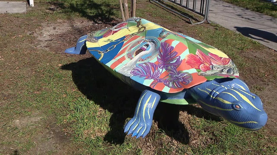 Nearly a dozen new aluminum turtle sculptures celebrate the mascot for the City of Inverness, the cooter turtle.