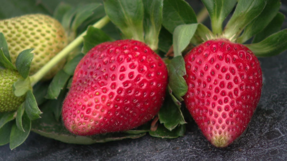 Strawberries.