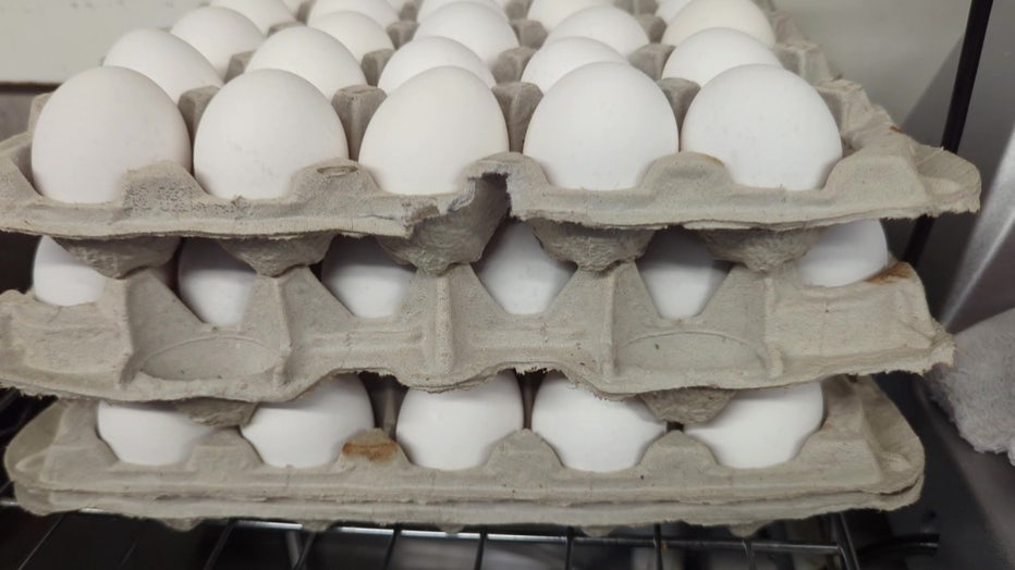 File: Eggs