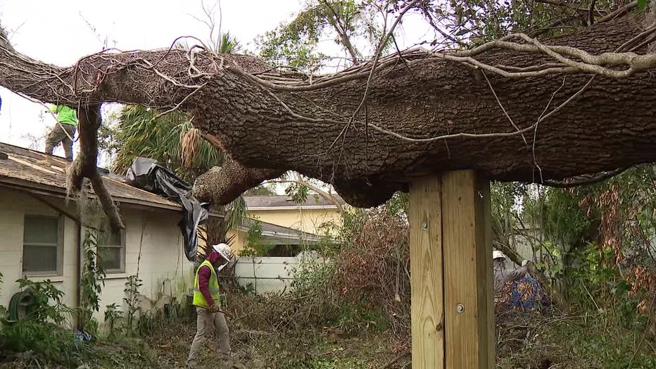 A tree fell on Jackson's house during Hurricane Milton and damaged the electrical box.
