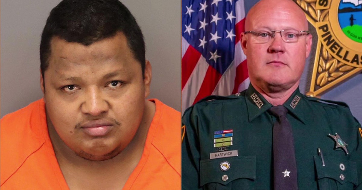 Illegal immigrant takes plea deal in connection with death of Pinellas ...